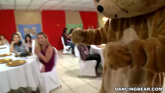 ¡prepárate Para Bailar Y Divertirte Con El Legendario Dancing Bear En Este Video De Alta Definición!