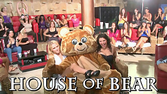 Wild Cfnm Party With Dancing Bear And Eager Women Blowing And Fucking!