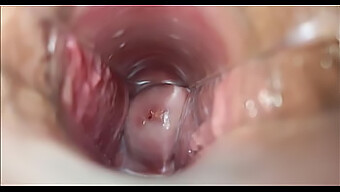 Orgasm In The Vagina Close Up View